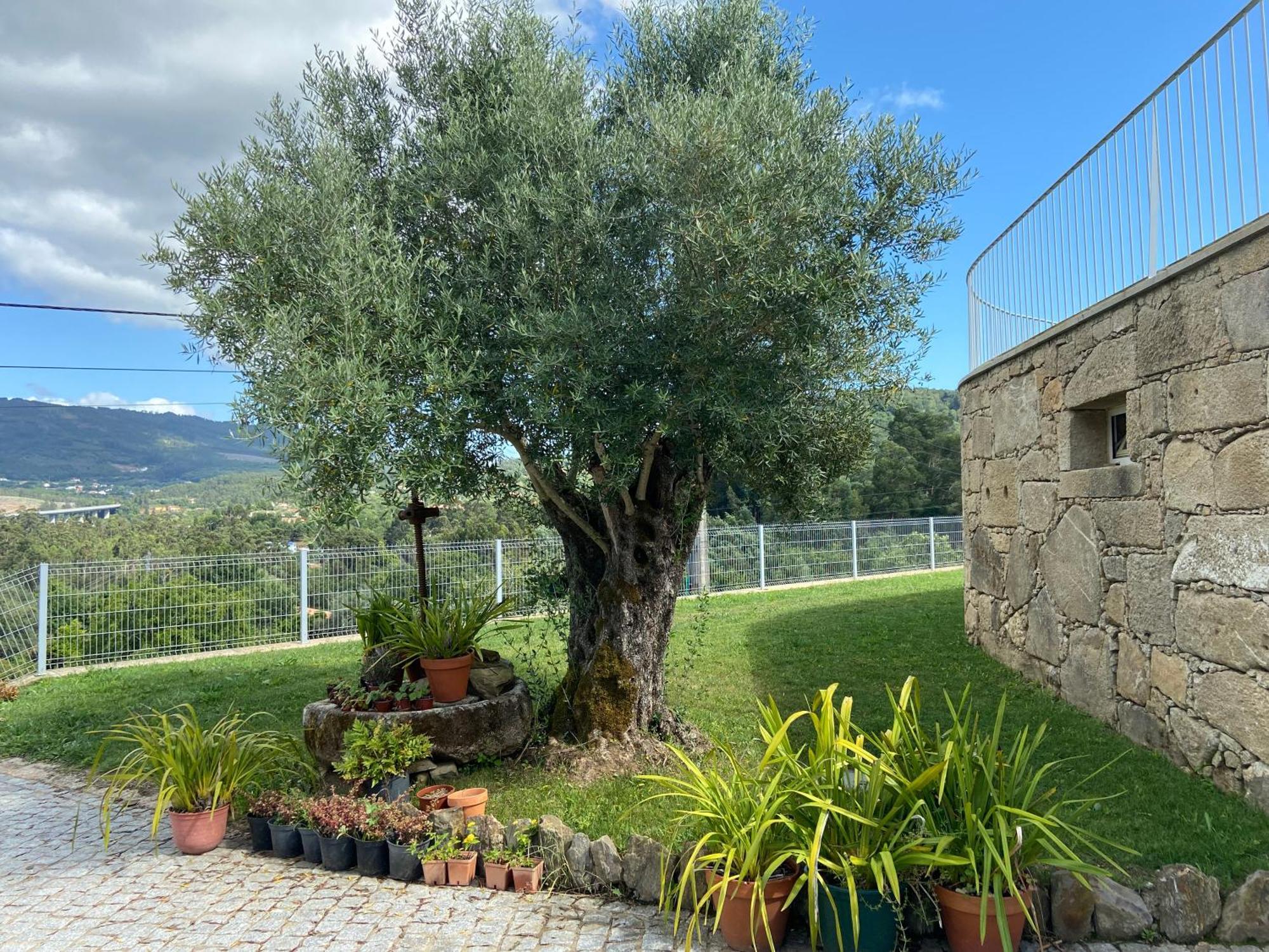Casa Da Gandara Villa Ponte de Lima Exteriör bild